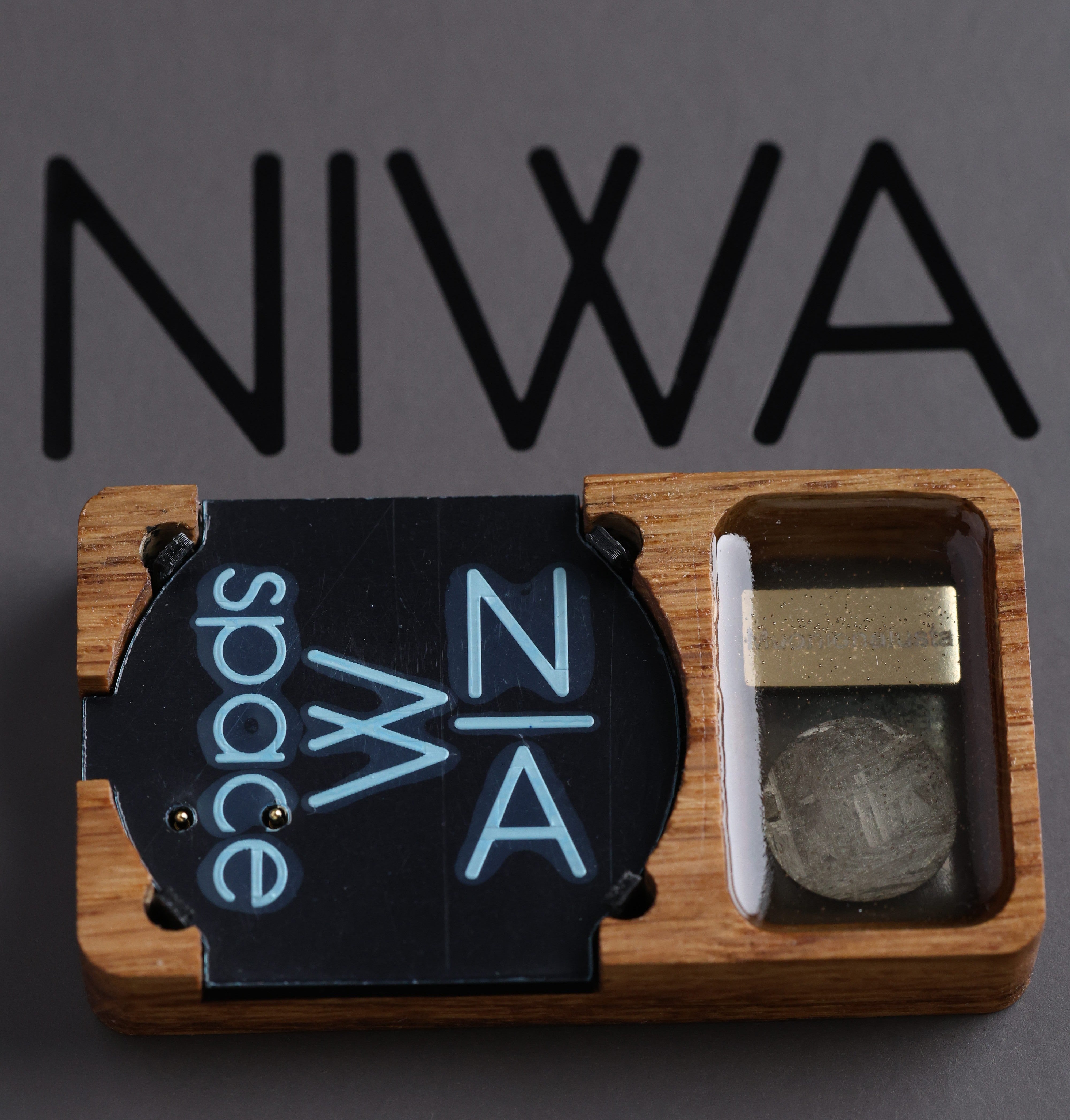 NIWA Lunokhod dock station with meteorite. For version 1.0